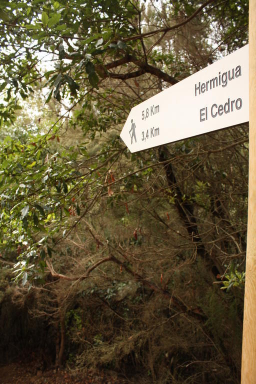 Casa Rural El Rincon De Antonia Agulo 외부 사진