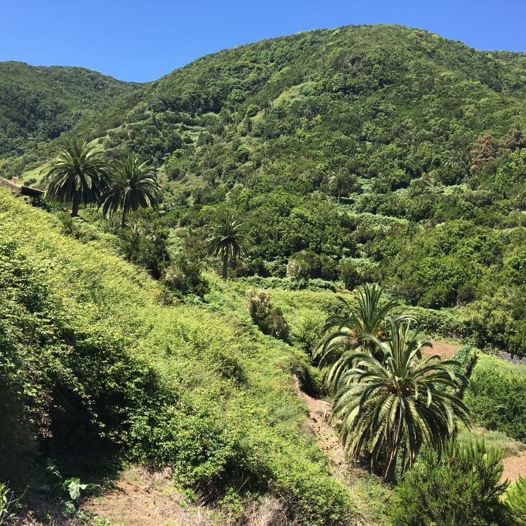 Casa Rural El Rincon De Antonia Agulo 외부 사진