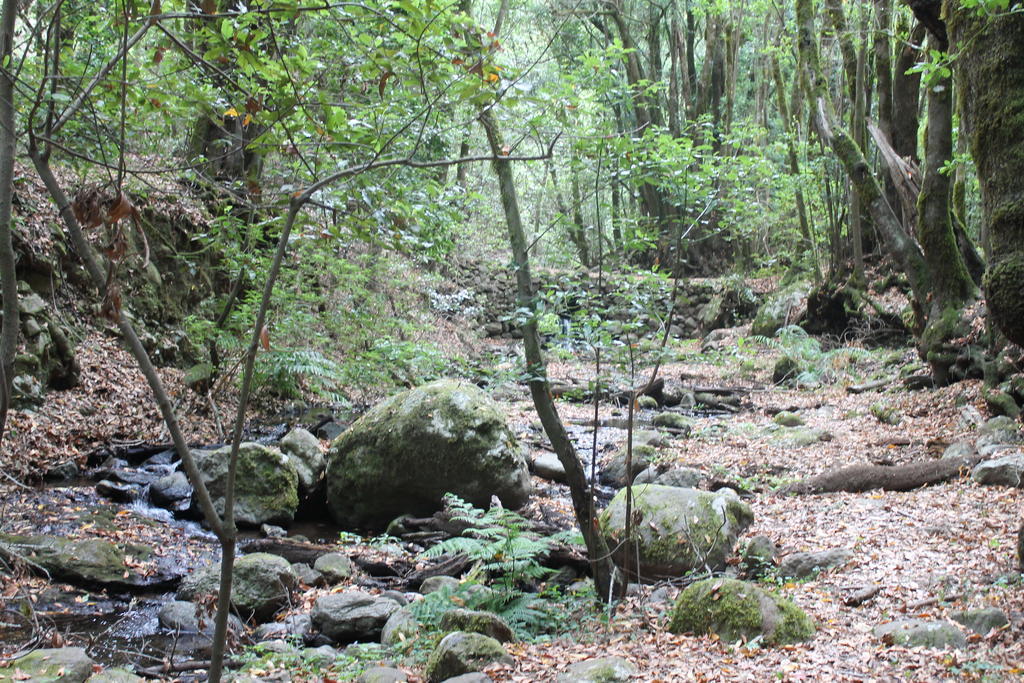 Casa Rural El Rincon De Antonia Agulo 외부 사진
