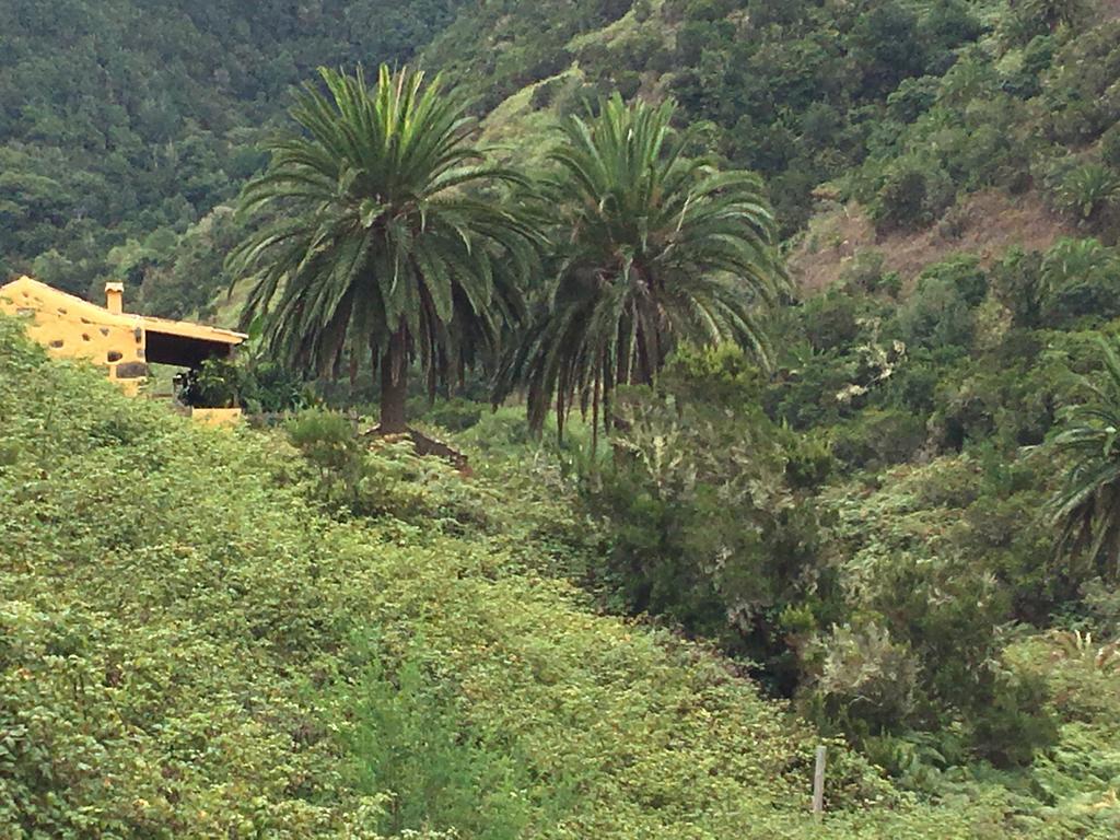 Casa Rural El Rincon De Antonia Agulo 외부 사진