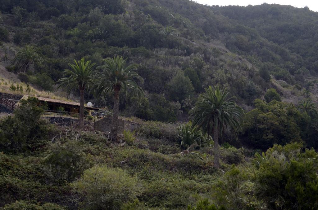 Casa Rural El Rincon De Antonia Agulo 외부 사진